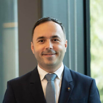 Ovidiu-Vasile Cîmpean picture